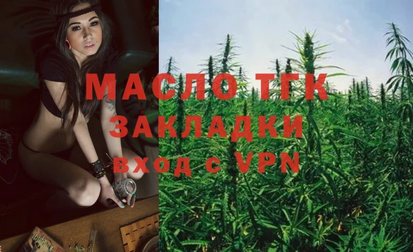 индика Абинск