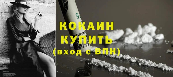 индика Абинск