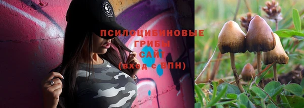 2c-b Алексеевка