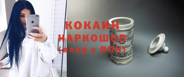индика Абинск
