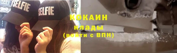 индика Абинск