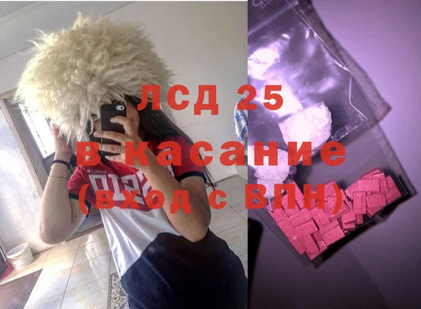 индика Абинск