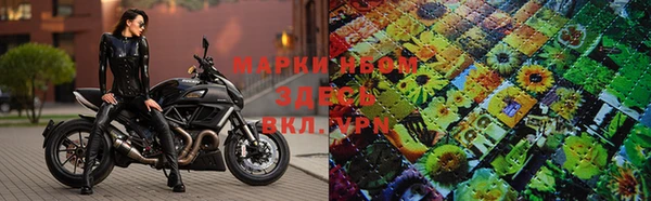 индика Абинск