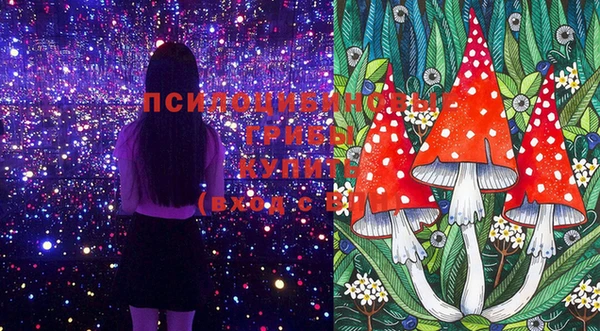 индика Абинск