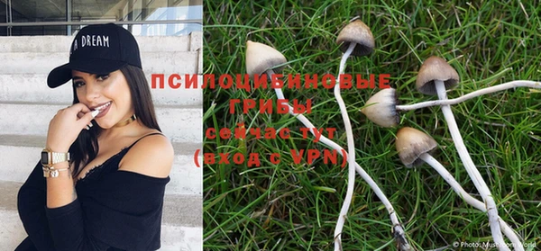 индика Абинск
