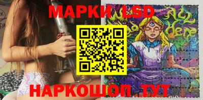 индика Пенза