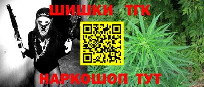 индика Пенза