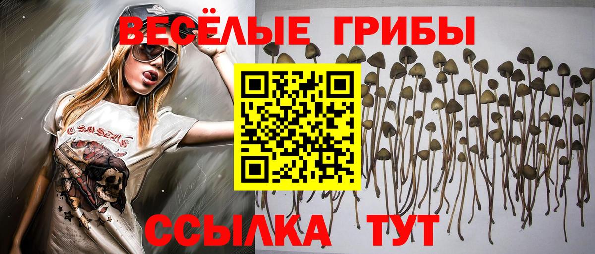 Галлюциногенные грибы мухоморы Фурманов