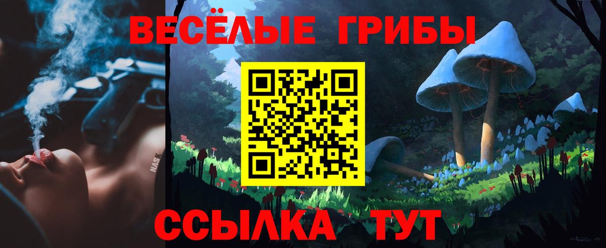 Фурманов  Псилоцибиновые грибы Cubensis  цены наркотик  Вход с VPN 