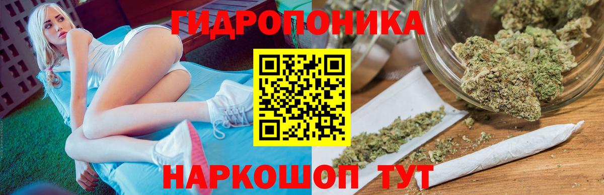 Фурманов  Канабис OG Kush  Вход с VPN  Бошки марихуана AK-47  Марихуана планчик  Конопля THC 21% 